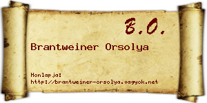 Brantweiner Orsolya névjegykártya